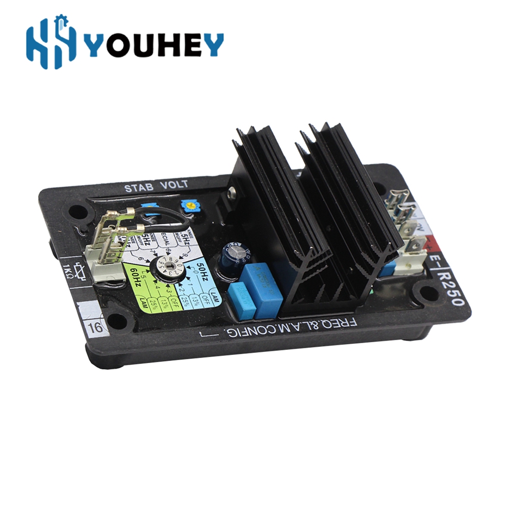 R250 AVR Leroy Somer régulateu - Cycloidal Reducer Bldc Motor avis et prix